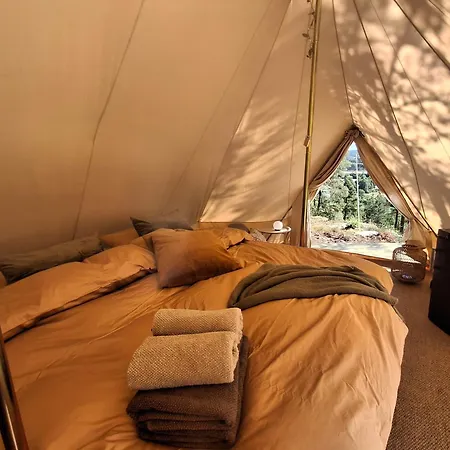 Glamping 럭셔리텐트 *